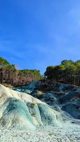 gold membership image